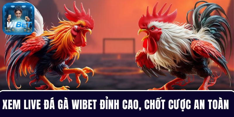Chơi đá gà WIBET - Xem live đỉnh cao, chốt cược an toàn