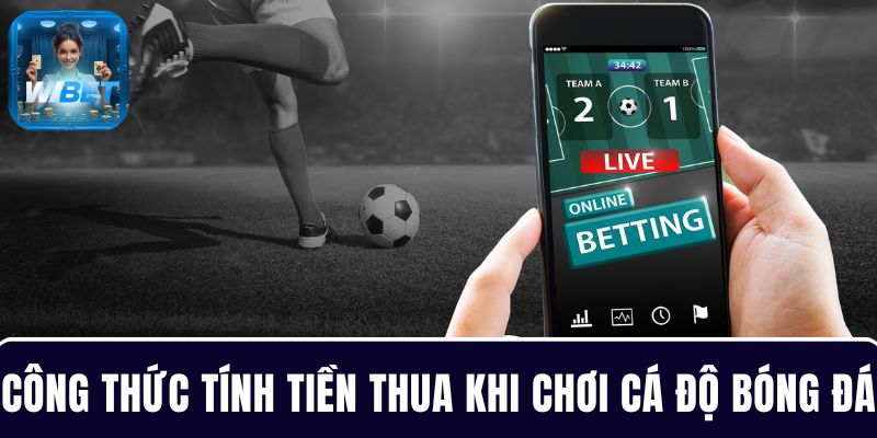 Công thức tính tiền thua khi chơi cá độ bóng đá tại WIBET