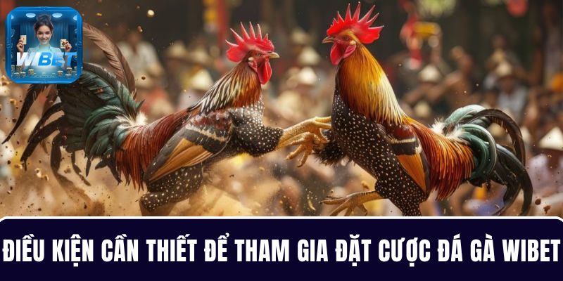 Điều kiện cần thiết để tham gia đặt cược đá gà WIBET