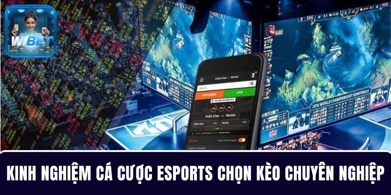 Kinh nghiệm cá cược Esports chọn kèo chuyên nghiệp