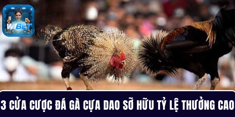 3 Cửa cược chính trong đá gà cựa dao sỡ hữu tỷ lệ thưởng cực cao 