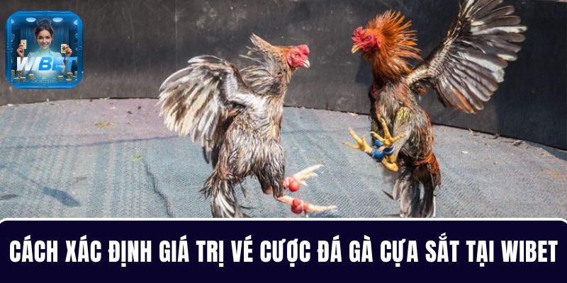 Cách xác định giá trị vé cược đá gà tại WIBET