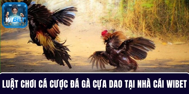 Hiểu rõ luật chơi giúp cá cược đá gà tại nhà cái hiệu quả hơn