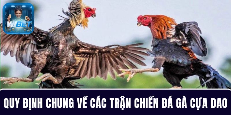 Quy định chung về các trận chiến đá gà cựa dao 