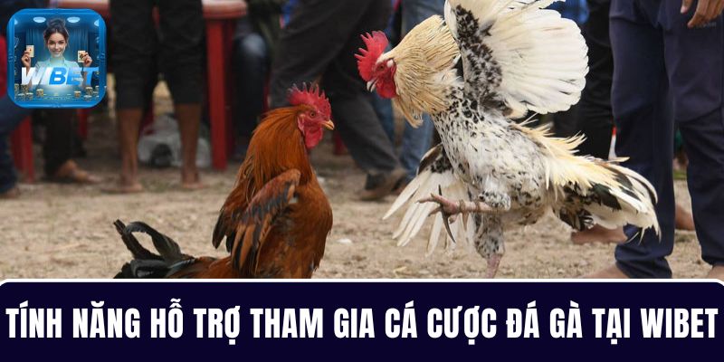 Tìm hiểu các tính năng hỗ trợ người chơi tham gia cá cược đá gà tại WIBET