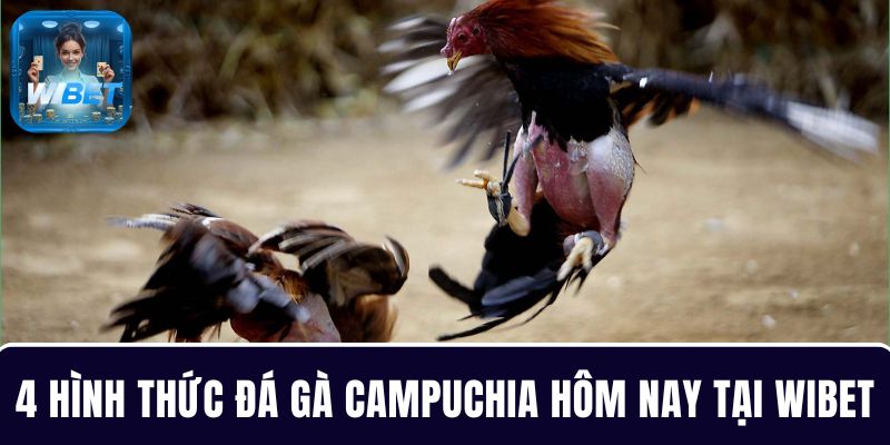 Tổng hợp 4 hình thức đá gà Campuchia hôm nay cho hội viên theo dõi 