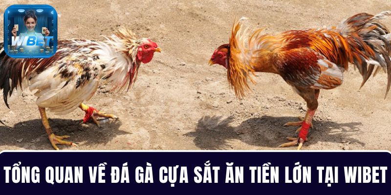Tổng quan về đá gà cựa sắt ăn tiền cực lớn tại trang game WIBET